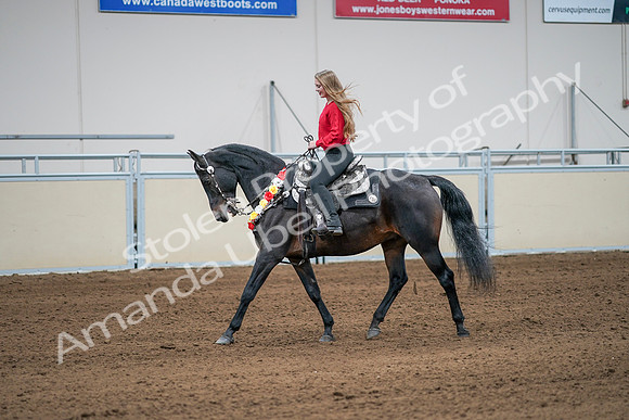 2020 - AB Morgan Horse - Sat, Sept 05 - 10404
