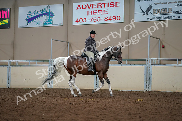 2019 Morgan Horse Show - Aug 30, 2019 - 22504