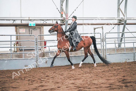 July 20, 2019 - 20827