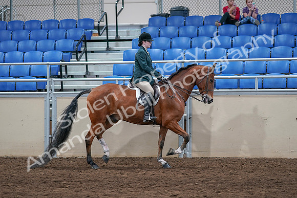 2020 - AB Morgan Horse - Sat, Sept 05 - 05191