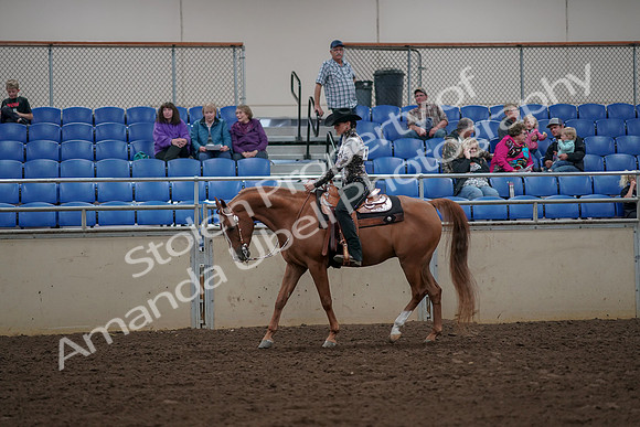 2019 Morgan Horse Show - Aug 30, 2019 - 26012