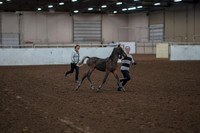 2019 Morgan Horse Show - Aug 31, 2019 - 00188