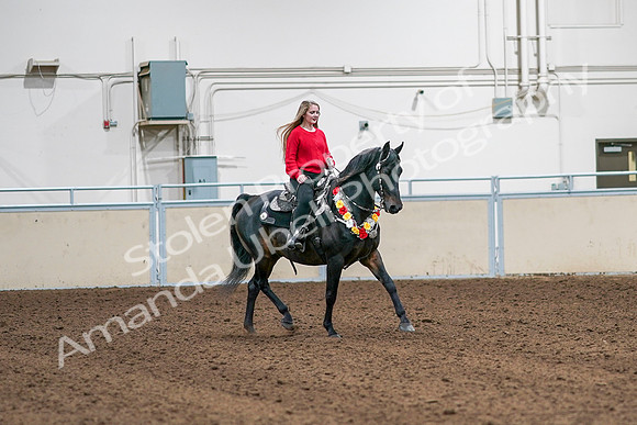 2020 - AB Morgan Horse - Sat, Sept 05 - 10486
