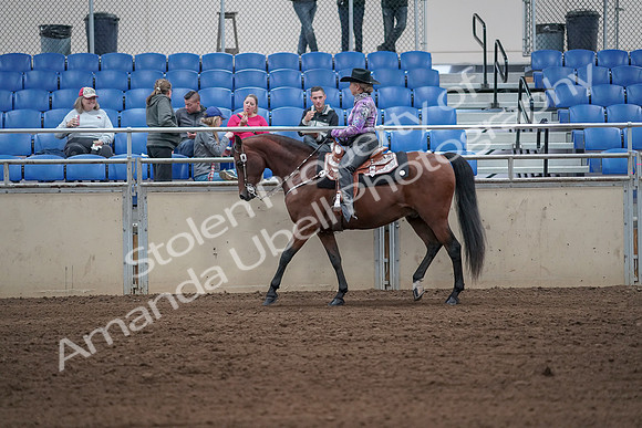 2019 Morgan Horse Show - Sept 01, 2019 - 06777