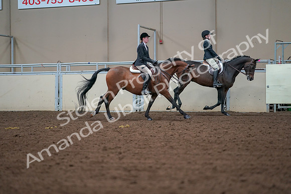 2019 Morgan Horse Show - Aug 30, 2019 - 21000