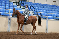 2020 - AB Morgan Horse - Fri, Sept 04 - 02957