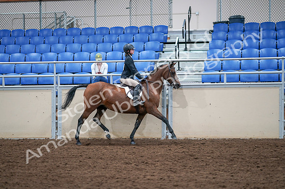 2020 - AB Morgan Horse - Fri, Sept 04 - 02188