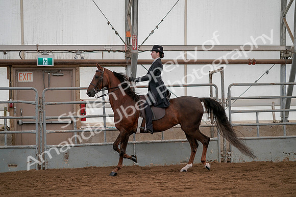 July 19, 2019 - 3010