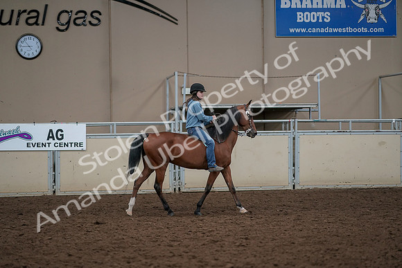 2019 Morgan Horse Show - Aug 30, 2019 - 31424