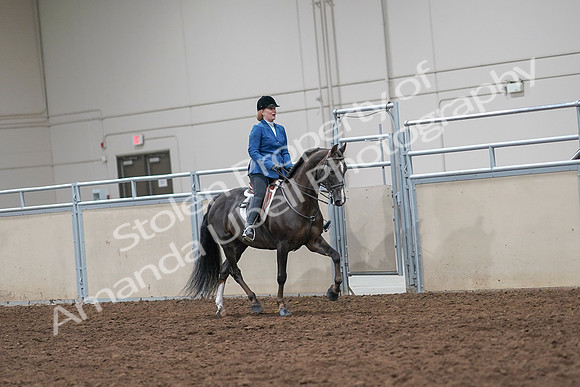 2020 - AB Morgan Horse - Sat, Sept 05 - 05064
