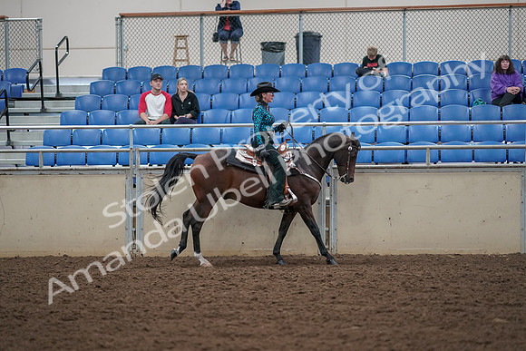 2019 Morgan Horse Show - Aug 30, 2019 - 26179