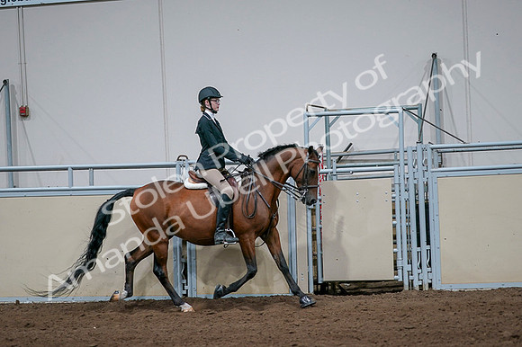 2020 - AB Morgan Horse - Fri, Sept 04 - 06019