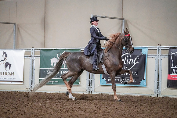 Spring Fling - Saturday - April 20, 2019  -  04228