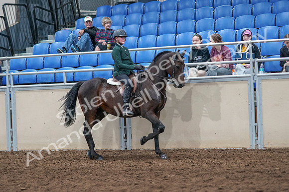 2020 - AB Morgan Horse - Sat, Sept 05 - 05151