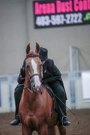 Spring Fling - Saturday - April 20, 2019  -  00857