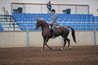 2019 Morgan Horse Show - Sept 01, 2019 - 06228