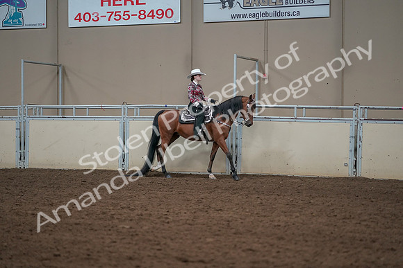 2019 Morgan Horse Show - Aug 30, 2019 - 26145