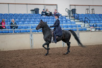 2019 Morgan Horse Show - Aug 31, 2019 - 18002