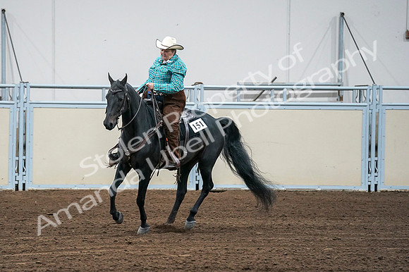2020 - AB Morgan Horse - Fri, Sept 04 - 00506