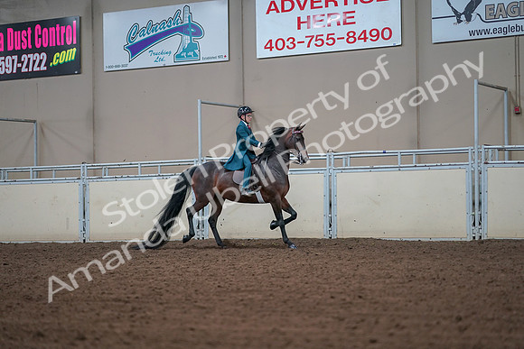 2019 Morgan Horse Show - Aug 30, 2019 - 17999