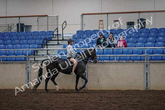 2019 Morgan Horse Show - Aug 30, 2019 - 31390