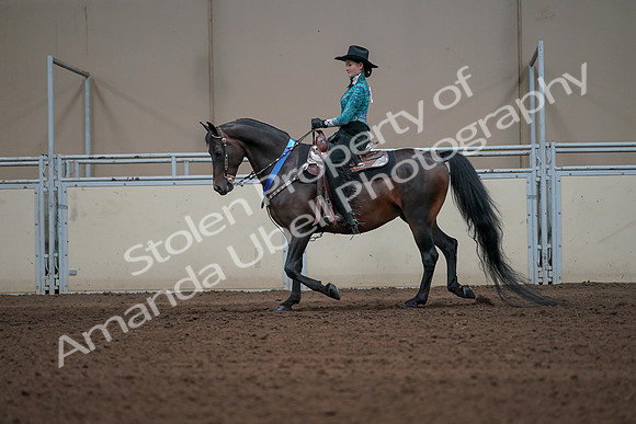2019 Morgan Horse Show - Sept 01, 2019 - 07327