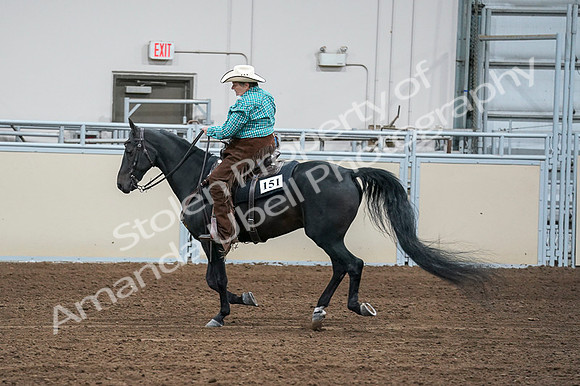 2020 - AB Morgan Horse - Fri, Sept 04 - 00499