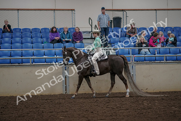 2019 Morgan Horse Show - Aug 30, 2019 - 25947