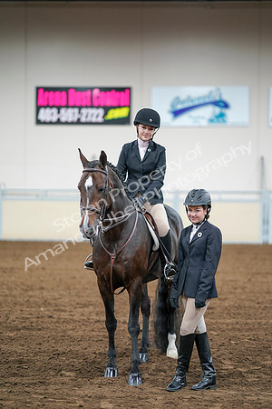 2020 - AB Morgan Horse - Fri, Sept 04 - 02206
