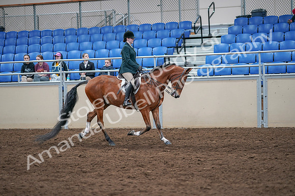 2020 - AB Morgan Horse - Sat, Sept 05 - 05110