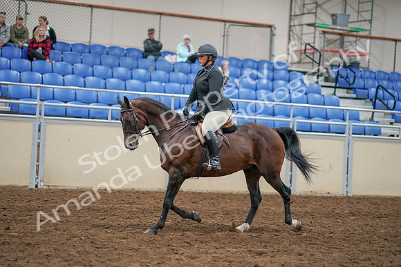 2020 - AB Morgan Horse - Sat, Sept 05 - 14471