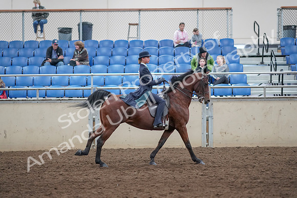 2019 Morgan Horse Show - Aug 31, 2019 - 09712