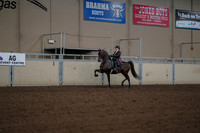 2019 Morgan Horse Show - Aug 30, 2019 - 28294