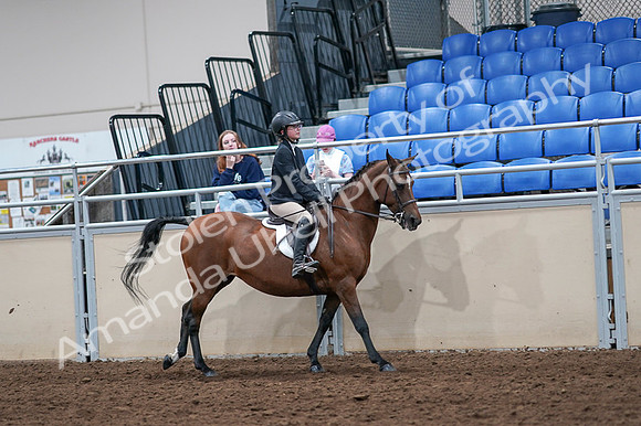 2020 - AB Morgan Horse - Fri, Sept 04 - 02126