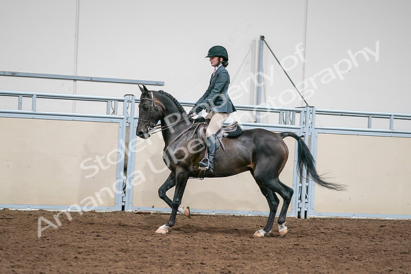 2020 - AB Morgan Horse - Sat, Sept 05 - 09064