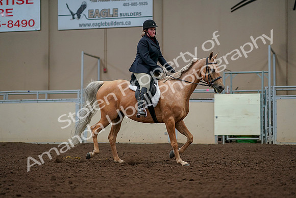 2019 Morgan Horse Show - Aug 30, 2019 - 22619