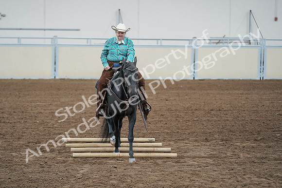 2020 - AB Morgan Horse - Fri, Sept 04 - 00644