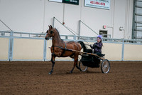 2020 - AB Morgan Horse - Fri, Sept 04 - 01056