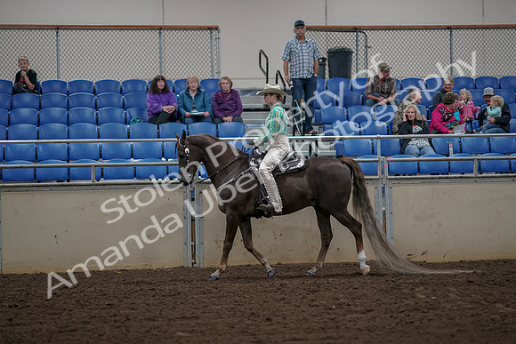 2019 Morgan Horse Show - Aug 30, 2019 - 25948