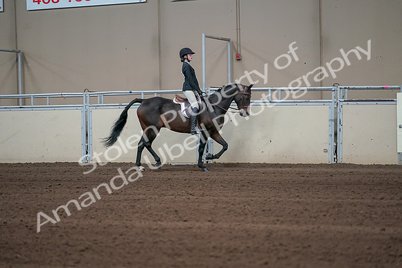 2019 Morgan Horse Show - Sept 01, 2019 - 03786