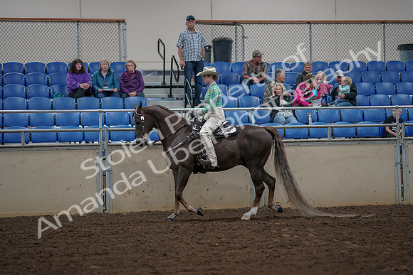 2019 Morgan Horse Show - Aug 30, 2019 - 25940