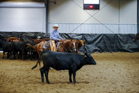 Herd Work - Non Pro Derby