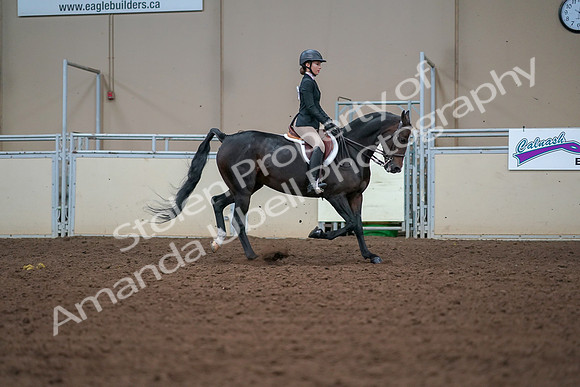 2019 Morgan Horse Show - Aug 30, 2019 - 20777
