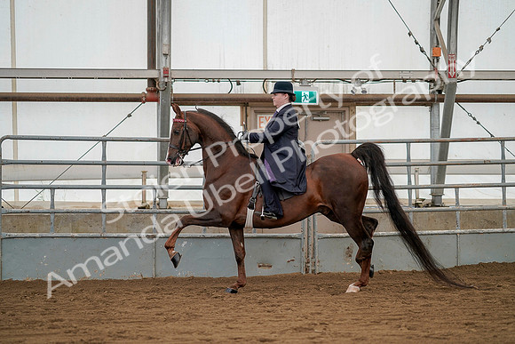 July 20, 2019 - 02253