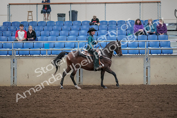 2019 Morgan Horse Show - Aug 30, 2019 - 26187