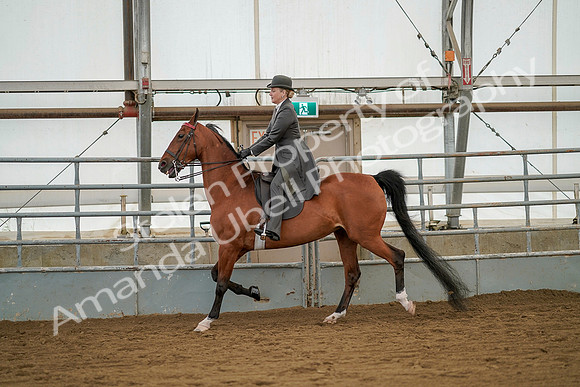 July 20, 2019 - 02322