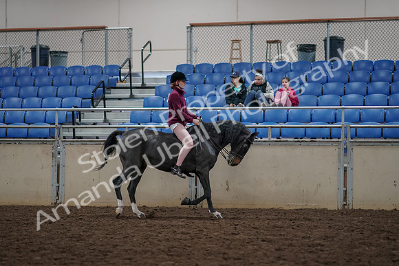 2019 Morgan Horse Show - Aug 30, 2019 - 31358