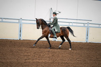 2020 - AB Morgan Horse - Fri, Sept 04 - 03299
