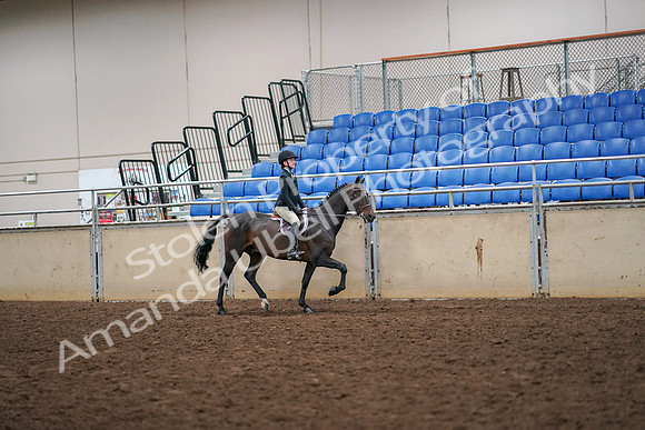 2019 Morgan Horse Show - Aug 30, 2019 - 12407
