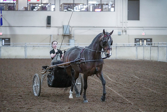 Spring Fling - Saturday - April 20, 2019  -  00337